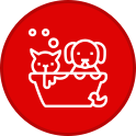 carwash-pet-wash-icon